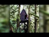 KING 5 Seattle