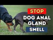 Veterinary Secrets